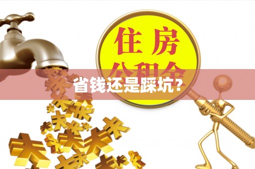 白塔省钱还是踩坑？