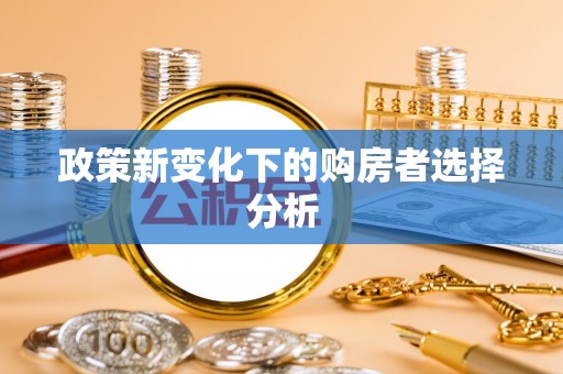 白塔政策新变化下的购房者选择分析