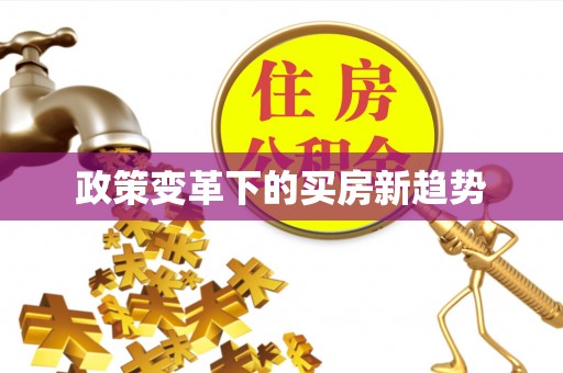 白塔政策变革下的买房新趋势