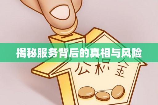 白塔揭秘服务背后的真相与风险