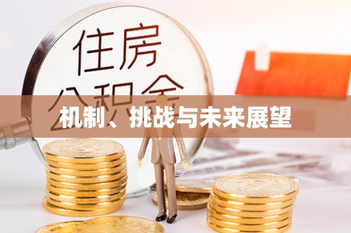 白塔机制、挑战与未来展望